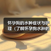 怀孕狗的水肿症状与护理（了解怀孕狗水肿的表现和如何给予适当护理）（图3）
