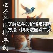 了解法斗的价格与饲养方法（揭秘法国斗牛犬的价格背后的因素与饲养技巧）（图1）