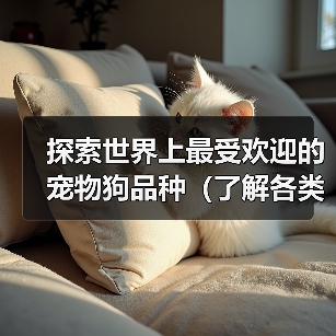 探索世界上最受欢迎的宠物狗品种(了解各类宠物狗品种的特点和魅力,选择你的理想伴侣)(图2) 探索世界上最受欢迎的宠物狗品种(了解各类宠物狗品种的特点和魅力,选择你的理想伴侣)(图2)