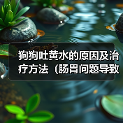 狗狗吐黄水的原因及治疗方法(肠胃问题导致的狗狗吐黄水)(图4) 狗狗吐黄水的原因及治疗方法(肠胃问题导致的狗狗吐黄水)(图4)