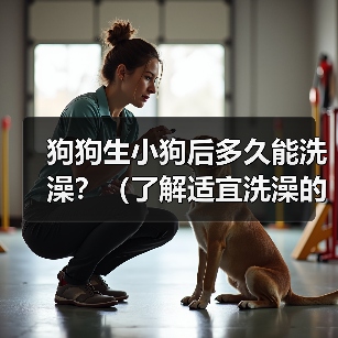狗狗生小狗后多久能洗澡?(了解适宜洗澡的时间和方式,让你的小狗保持清洁健康)(图3) 狗狗生小狗后多久能洗澡?(了解适宜洗澡的时间和方式,让你的小狗保持清洁健康)(图3)