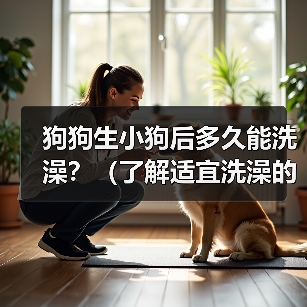 狗狗生小狗后多久能洗澡?(了解适宜洗澡的时间和方式,让你的小狗保持清洁健康)(图2) 狗狗生小狗后多久能洗澡?(了解适宜洗澡的时间和方式,让你的小狗保持清洁健康)(图2)