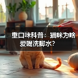 重口味科普：猫咪为啥爱喝洗脚水？（图3）