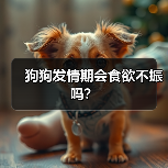 狗狗发情期会食欲不振吗?(图2) 狗狗发情期会食欲不振吗?(图2)