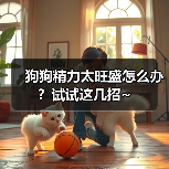 狗狗精力太旺盛怎么办？试试这几招~（图1）