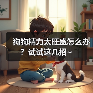 狗狗精力太旺盛怎么办？试试这几招~（图4）