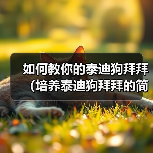 如何教你的泰迪狗拜拜(培养泰迪狗拜拜的简单方法)(图4) 如何教你的泰迪狗拜拜(培养泰迪狗拜拜的简单方法)(图4)