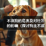 不遛狗的危害及对社区的影响(探讨狗主不遛狗对环境、健康和社交的负面影响及应对措施)(图1) 不遛狗的危害及对社区的影响(探讨狗主不遛狗对环境、健康和社交的负面影响及应对措施)(图1)
