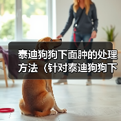 泰迪狗狗下面肿的处理方法(针对泰迪狗狗下面肿瘤问题的解决方案)(图2) 泰迪狗狗下面肿的处理方法(针对泰迪狗狗下面肿瘤问题的解决方案)(图2)