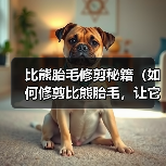 比熊胎毛修剪秘籍(如何修剪比熊胎毛,让它们保持可爱的外貌和健康的状态)(图4) 比熊胎毛修剪秘籍(如何修剪比熊胎毛,让它们保持可爱的外貌和健康的状态)(图4)