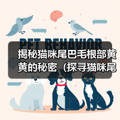 揭秘猫咪尾巴毛根部黄黄的秘密（探寻猫咪尾巴毛根部黄黄现象的原因和治疗方法）（图4）