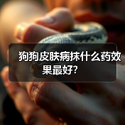 狗狗皮肤病抹什么药效果最好?(图1) 狗狗皮肤病抹什么药效果最好?(图1)