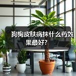狗狗皮肤病抹什么药效果最好?(图2) 狗狗皮肤病抹什么药效果最好?(图2)