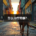怎么治疗狗癣？（图4）