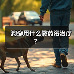 狗癣用什么做药浴治疗？（图1）