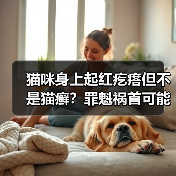 猫咪身上起红疙瘩但不是猫癣？罪魁祸首可能是这些（图4）