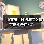 小猫身上长结痂怎么确定是不是猫癣？（图4）