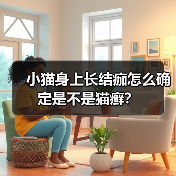 小猫身上长结痂怎么确定是不是猫癣？（图1）
