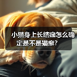 小猫身上长结痂怎么确定是不是猫癣？（图2）