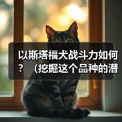 以斯塔福犬战斗力如何?(挖掘这个品种的潜力,探究其战斗能力的来源)(图4) 以斯塔福犬战斗力如何?(挖掘这个品种的潜力,探究其战斗能力的来源)(图4)