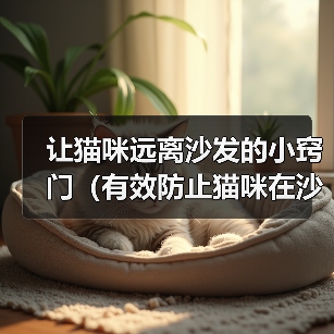 让猫咪远离沙发的小窍门(有效防止猫咪在沙发上睡觉的方法)(图3) 让猫咪远离沙发的小窍门(有效防止猫咪在沙发上睡觉的方法)(图3)