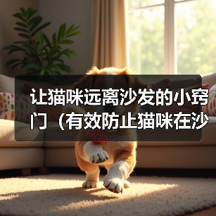 让猫咪远离沙发的小窍门(有效防止猫咪在沙发上睡觉的方法)(图2) 让猫咪远离沙发的小窍门(有效防止猫咪在沙发上睡觉的方法)(图2)