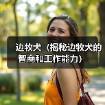 边牧犬(揭秘边牧犬的智商和工作能力)(图1) 边牧犬(揭秘边牧犬的智商和工作能力)(图1)