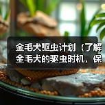 金毛犬驱虫计划(了解金毛犬的驱虫时机,保护宠物健康)(图2) 金毛犬驱虫计划(了解金毛犬的驱虫时机,保护宠物健康)(图2)