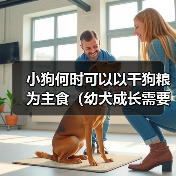 小狗何时可以以干狗粮为主食(幼犬成长需要的饮食转变时机及注意事项)(图1) 小狗何时可以以干狗粮为主食(幼犬成长需要的饮食转变时机及注意事项)(图1)