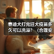 泰迪犬打完狂犬疫苗多久可以洗澡?(合理安排洗澡时间,确保泰迪犬的健康)(图1) 泰迪犬打完狂犬疫苗多久可以洗澡?(合理安排洗澡时间,确保泰迪犬的健康)(图1)