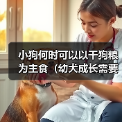 小狗何时可以以干狗粮为主食(幼犬成长需要的饮食转变时机及注意事项)(图3) 小狗何时可以以干狗粮为主食(幼犬成长需要的饮食转变时机及注意事项)(图3)