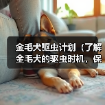 金毛犬驱虫计划(了解金毛犬的驱虫时机,保护宠物健康)(图1) 金毛犬驱虫计划(了解金毛犬的驱虫时机,保护宠物健康)(图1)