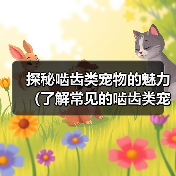 探秘啮齿类宠物的魅力(了解常见的啮齿类宠物及它们的特点)(图1) 探秘啮齿类宠物的魅力(了解常见的啮齿类宠物及它们的特点)(图1)