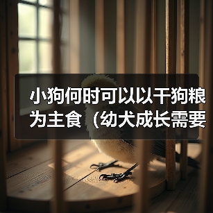 小狗何时可以以干狗粮为主食(幼犬成长需要的饮食转变时机及注意事项)(图4) 小狗何时可以以干狗粮为主食(幼犬成长需要的饮食转变时机及注意事项)(图4)