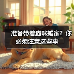 准备带着猫咪搬家?你必须注意这些事(图3) 准备带着猫咪搬家?你必须注意这些事(图3)