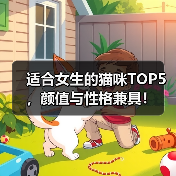 适合女生的猫咪TOP5，颜值与性格兼具！
