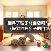 猫鼻子破了能自愈吗？（探究猫咪鼻子的自愈能力及相应护理方法）（图4）