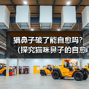 猫鼻子破了能自愈吗？（探究猫咪鼻子的自愈能力及相应护理方法）（图3）