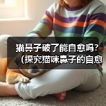 猫鼻子破了能自愈吗？（探究猫咪鼻子的自愈能力及相应护理方法）（图1）