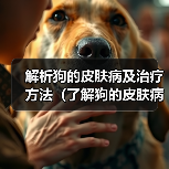 解析狗的皮肤病及治疗方法(了解狗的皮肤病,提供有效治疗方法)(图1) 解析狗的皮肤病及治疗方法(了解狗的皮肤病,提供有效治疗方法)(图1)