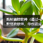 揭秘猫脸软件(通过一款猫脸软件,你也能成为超萌猫咪!)(图3) 揭秘猫脸软件(通过一款猫脸软件,你也能成为超萌猫咪!)(图3)