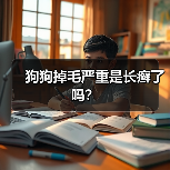 狗狗掉毛严重是长癣了吗?(图2) 狗狗掉毛严重是长癣了吗?(图2)