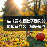 猫咪喜欢露肚子睡觉的原因及意义(揭秘猫咪露肚子睡觉的神秘行为)(图3) 猫咪喜欢露肚子睡觉的原因及意义(揭秘猫咪露肚子睡觉的神秘行为)(图3)