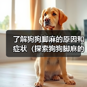 了解狗狗脚麻的原因和症状（探索狗狗脚麻的治疗和预防方法）（图2）