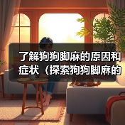 了解狗狗脚麻的原因和症状（探索狗狗脚麻的治疗和预防方法）（图1）