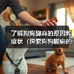 了解狗狗脚麻的原因和症状（探索狗狗脚麻的治疗和预防方法）（图3）