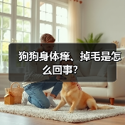 狗狗身体痒、掉毛是怎么回事？（图3）
