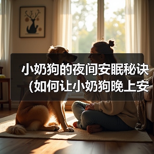 小奶狗的夜间安眠秘诀(如何让小奶狗晚上安心入眠)(图2) 小奶狗的夜间安眠秘诀(如何让小奶狗晚上安心入眠)(图2)