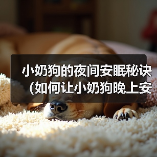 小奶狗的夜间安眠秘诀(如何让小奶狗晚上安心入眠)(图4) 小奶狗的夜间安眠秘诀(如何让小奶狗晚上安心入眠)(图4)