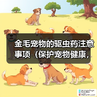金毛宠物的驱虫药注意事项(保护宠物健康,正确使用驱虫药)(图4) 金毛宠物的驱虫药注意事项(保护宠物健康,正确使用驱虫药)(图4)